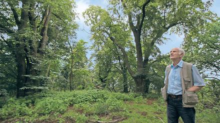 Historischer Aussichtspunkt. Auf dem Hasselberg im Ortsteil Marquardt soll früher ein Pavillon mit Turm gestanden haben. Das historische Lindenrondell ist heute nur noch für Kenner auszumachen. Der Marquardter Ortschronist Wolfgang Grittner kämpft seit Jahren um den Erhalt des Areals.