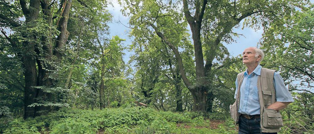 Historischer Aussichtspunkt. Auf dem Hasselberg im Ortsteil Marquardt soll früher ein Pavillon mit Turm gestanden haben. Das historische Lindenrondell ist heute nur noch für Kenner auszumachen. Der Marquardter Ortschronist Wolfgang Grittner kämpft seit Jahren um den Erhalt des Areals.