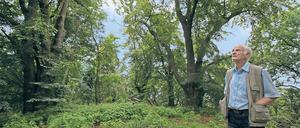 Historischer Aussichtspunkt. Auf dem Hasselberg im Ortsteil Marquardt soll früher ein Pavillon mit Turm gestanden haben. Das historische Lindenrondell ist heute nur noch für Kenner auszumachen. Der Marquardter Ortschronist Wolfgang Grittner kämpft seit Jahren um den Erhalt des Areals.
