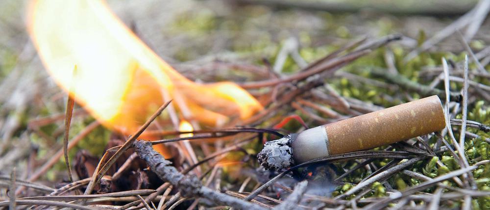 Typische Brandursache. Weggeworfene Kippen führen häufig zu Bränden.