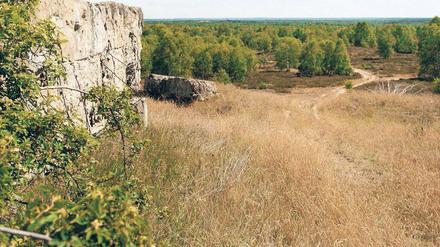 Naturlandschaft. Für die Döberitzer Heide soll es Fördermittel geben.