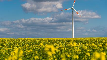 Die Unterschriften reichten nicht für das Volksbegehren gegen Windkraft.