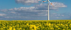 Die Unterschriften reichten nicht für das Volksbegehren gegen Windkraft.