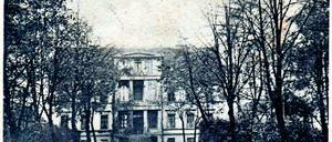 Eichen sollen nicht weichen. Dort, wo früher ein imposantes Gutshaus stand, ist heute der Bau von drei Mehrfamilienhäusern geplant. Die Grünen fürchten, dass der Bau in den alten Baumbestand eingreift.
