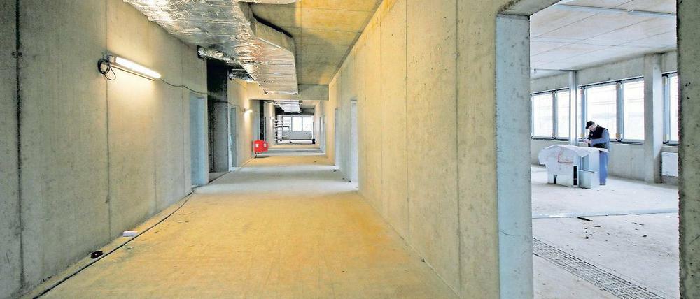 Die Baustelle der Da-Vinci-Schule im Bornstedter Feld.