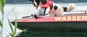 Hundeführerin Nicole Adam vom Deutschen Roten Kreuz trainiert mit ihrem ihrem Wasserortungshund Otis auf dem Helenesees nahe Frankfurt (Oder).