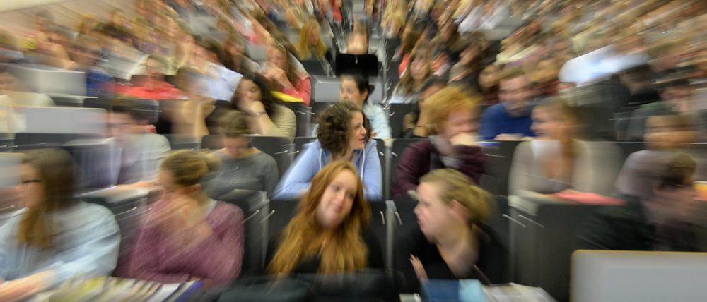 Die Potsdamer Jusos sehen die Gefahr, dass die Arbeit des Potsdamer Studentenwerks durch eine mögliche Fusion gefährdet sein könnte.
