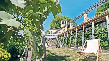 Der Winzerberg lädt zur entspannten Bacchusstunde ein.