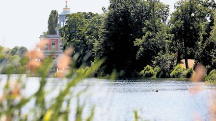 Königliches Bad. Schwimmen mit Blick aufs Marmorpalais, das wollen viele. Erlaubt ist das Baden im Neuen Garten nur an einer Stelle, an vielen weiteren tun es die Besucher trotzdem. Damit werde das Welterbe zerstört, warnt die Schlösserstiftung.