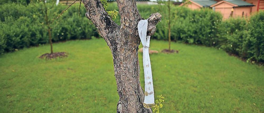 Zeichen des Gedenkens. Elias war in einer Gartenparzelle in Luckenwalde gefunden worden. Dort erinnert eine Schleife an das Schicksal von ihm und dem Flüchtlingsjungen Mohamed aus Berlin (oben).