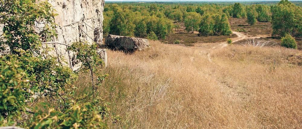 Landschaft intensiv. Wer beim Lauf durch die Döberitzer Heide mitmacht, spürt garantiert die Einsamkeit des Läufers inmitten der Natur.