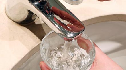 "Seit mehr als zwölf Jahren haben wir mit dem giftigen Wasser den Babybrei angerührt, gekocht und es auch reichlich getrunken", sagt ein Potsdamer Familienvater. Er erhebt nun Vorwürfe gegen die Stadt und die Stadtwerke-Tochter Energie und Wasser.