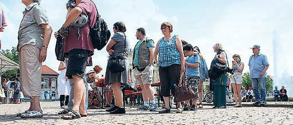 Andrang. Die Aktion „Potsdam rettet Lebensmittel“ am Luisenplatz.