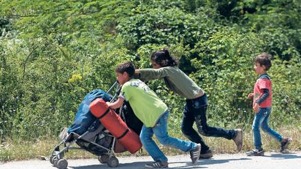 Kein Durchkommen. Kinder in der Nähe des Flüchtlingslagers Idomeni im Norden Griechenlands auf dem Weg in eine neue Unterkunft.