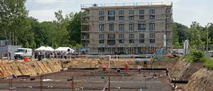2017 sollen die 32 neuen Wohnungen im Bornstedter Feld fertig sein.