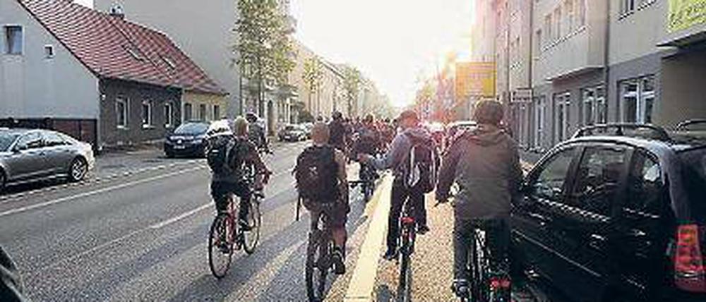 Mehr als 16 Radler dürfen zusammen auf der Straße radeln.