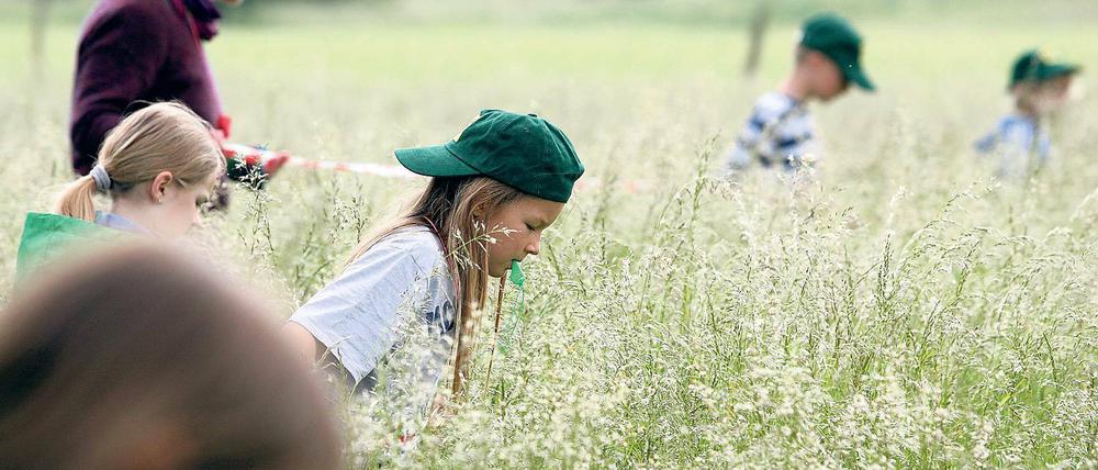 Retter in Grün. Die Werderaner Schüler zogen vor der Mahd über die Wiese, um versteckte Tiere zu retten.