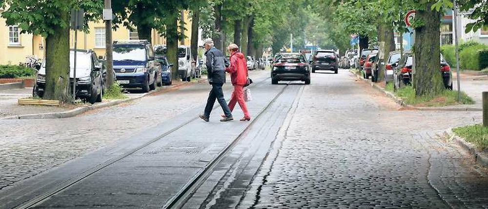 Behutsame Sanierung. Bei einer Instandsetzung der Kastanienallee sollen Bäume und Pflaster geschont werden. Noch fehlt für eine Sanierung allerdings das Geld.