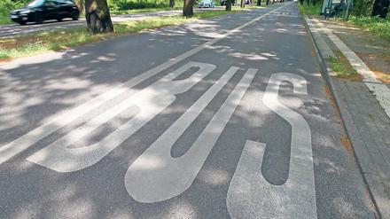 Am Bahnhof Pirschheide gibt es schon eine Busspur. Sie soll künftig länger werden. Wie viele zusätzliche Busse allerdings künftig darüber fahren werden, ist noch unklar.