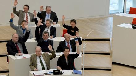 In der AfD-Fraktion im Brandenburger Landtag könnte es nach der Bundestagswahl einige Personalwechsel geben. Ruhiger dürfte es dadurch aber nicht werden.
