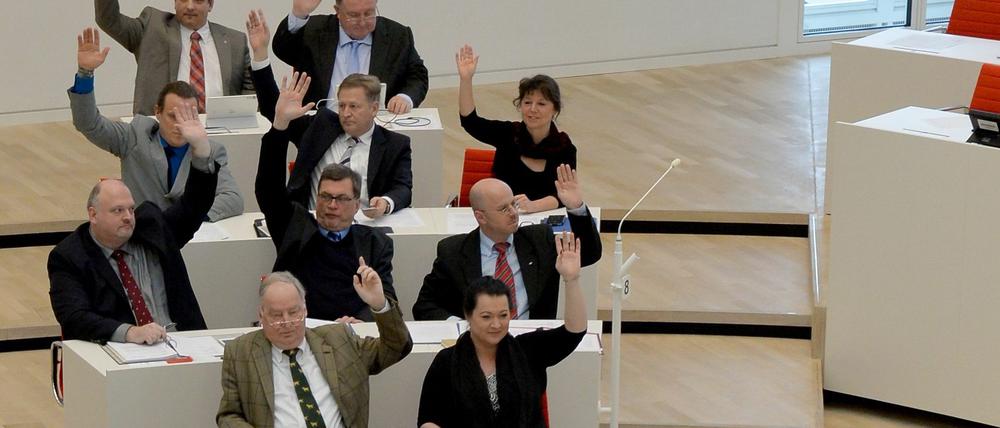 In der AfD-Fraktion im Brandenburger Landtag könnte es nach der Bundestagswahl einige Personalwechsel geben. Ruhiger dürfte es dadurch aber nicht werden.