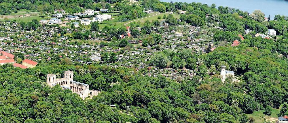 Privat oder öffentlich? Zwischen Campus Jungfernsee (oben links) und Villa Jacobs (oben rechts) liegt das umstrittene Areal. Im 19. Jahrhundert wurde es vom Hofgärtner Hermann Sello angelegt. Heute ist es zugewachsen.