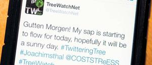 News überall: Selbst Bäume twittern inzwischen ihr Befinden.