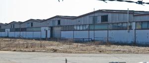 Im brandenburgischen Haßleben soll eine Mega-Schweinemastanlage mit 37.000 Plätzen entstehen.