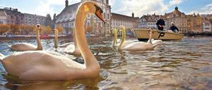 Idylle am Wasser. In Potsdams Partnerstadt Luzern.