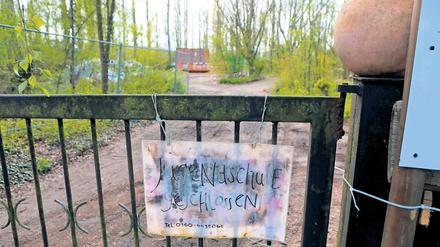 Rückkehr geplant. Bald sollen hier wieder Karotten und Kürbisse wachsen.