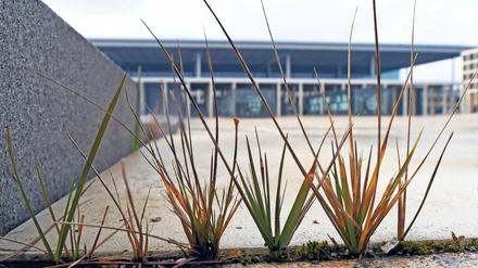 Hoffnungslos gescheitert – oder Kapitalanlage? Eine Großbank hat angeboten, Schuldscheine zu emittieren, womit eine neue Finanzierungsquelle für den BER erschlossen und erprobt werden könnte. Es soll um bis zu 100 000 Millionen Euro gehen.