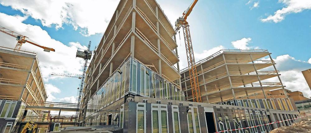 Moderne Architektur. Der Rohbau der Investitionsbank des Landes Brandenburg steht gleich neben dem Hauptbahnhof. Zum Jahresende will Vorstand Tillmann Stenger einziehen. Im Gebäudekomplex gibt es Konferenzräume und ein Sommerfoyer.