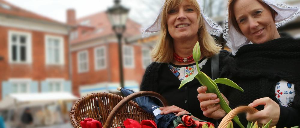 20.000 Besucher kamen zum diesjährigen Tulpenfest in Potsdam. Weniger als erwartet.