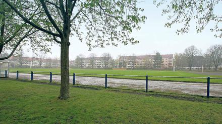 Noch ein Rasenplatz: der künftige Schulstandort Sandscholle.