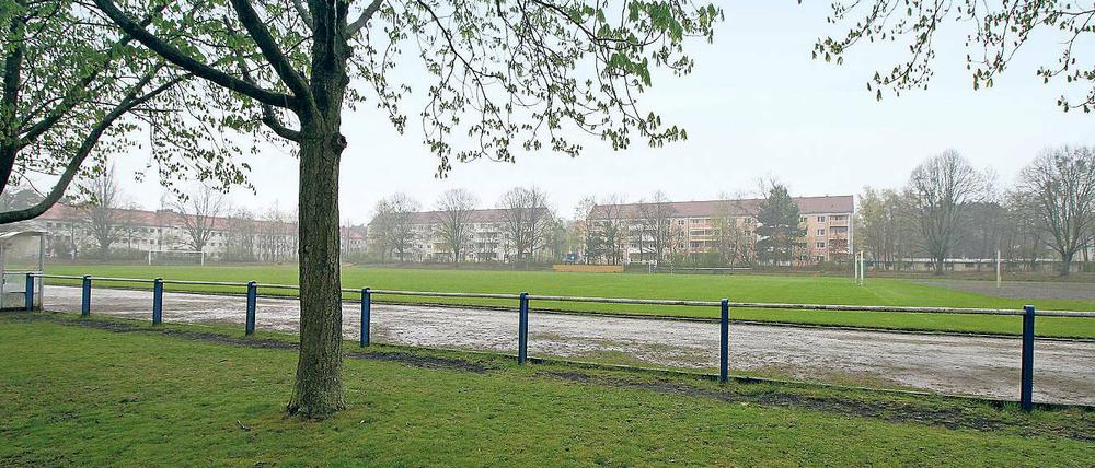 Noch ein Rasenplatz: der künftige Schulstandort Sandscholle.
