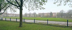 Noch ein Rasenplatz: der künftige Schulstandort Sandscholle.