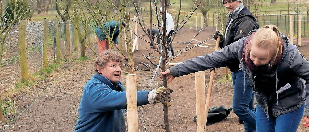 Gärtnern macht glücklich. Vereinsgründer Justus Mayser (links) zusammen mit seinen Mitstreitern bei der ersten Pflanzaktion in einem Langerwischer Garten.