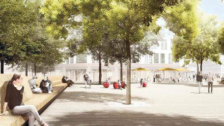 Auf die lange Bank. Der Johan-Bouman-Platz im Bornstedter Feld soll zu einem zentralen Aufenthaltsort entwickelt werden.