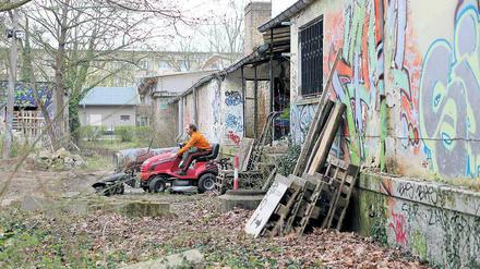 Viel zu tun. Aufräumen für den Nachbarschaftsgarten.