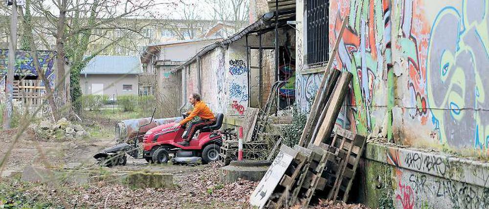 Viel zu tun. Aufräumen für den Nachbarschaftsgarten.