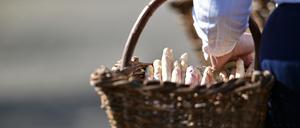 Erst ab Anfang April ist mit dem ersten Spargel aus der Region zu rechnen.