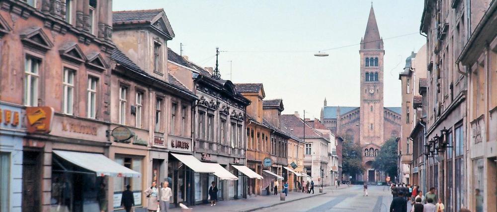 Erstmals in Potsdam. Dieses Foto wurde am 25. August 1973 gemacht. Es zeigt die Brandenburger Straße, damals noch Klement-Gottwald-Straße – links auf dem Gehweg stehen Clemens Alexander Wimmer und seine Mutter. Aufgenommen hat das Bild Vater Dietrich Krüger. Es war der allererste Besuch der Familie in Potsdam.