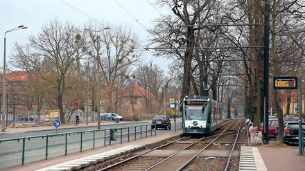 Bäume weg, Fahrbahn weg. Die Tramtrasse soll verbreitert werden, die Bäume auf der linken Seite werden dafür wohl größtenteils gefällt werden müssen. Für einen neuen Grünstreifen mit Ersatzpflanzungen wird eine stadtauswärtige Fahrspur geopfert. Die neue Tramtrasse soll zudem begrünt werden.
