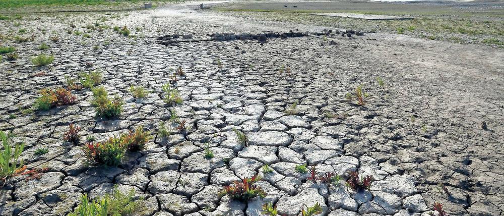 Dürre und Hitze. Wassermanagement könnte die Klimafolgen abmildern.