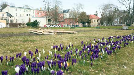 Für den Frühling. Die neue Freizeitanlage an der Schopenhauerstraße.