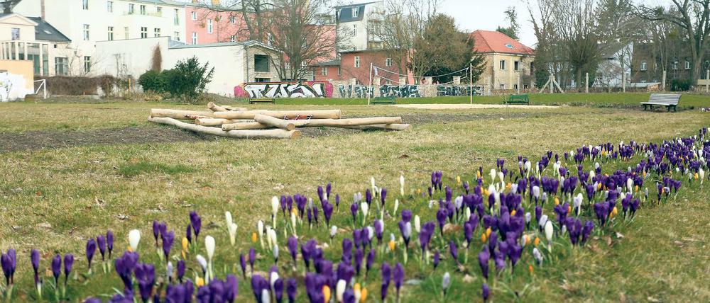 Für den Frühling. Die neue Freizeitanlage an der Schopenhauerstraße.