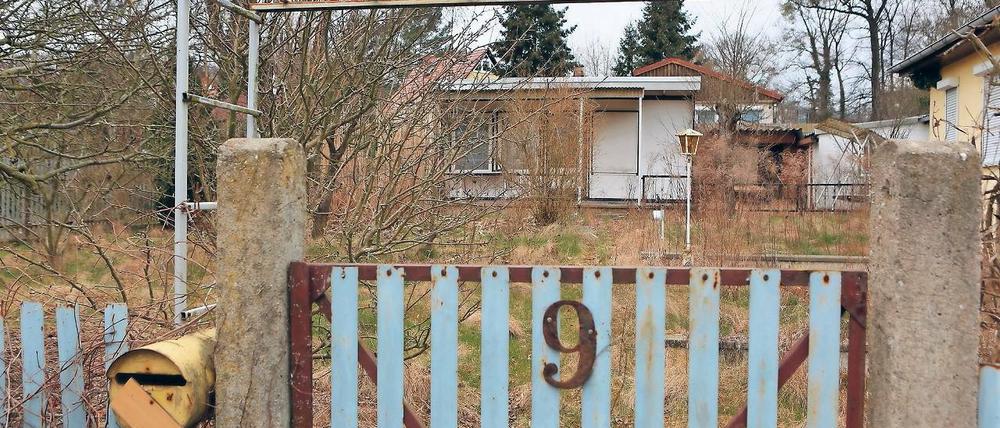Ungenutzte Lauben. Einige Parzellen im Glienicker Winkel sind bereits nicht mehr verpachtet. Hier konnten sich die Grundstückseigentümer mit den Pächtern auf einen Vergleich einigen. Nach einem langjährigen Streit könnten auf dem Kleingartenland im nördlichen Babelsberg nun Wohnungen gebaut werden.