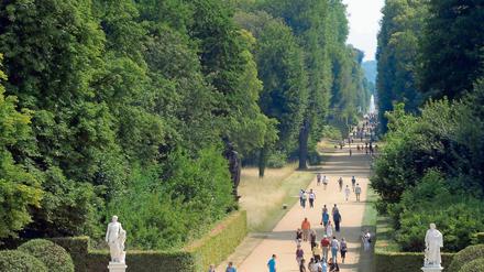 Sägen in Sanssouci: Morsche Bäume sollen Parkbesucher nicht gefährden.
