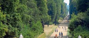 Sägen in Sanssouci: Morsche Bäume sollen Parkbesucher nicht gefährden.