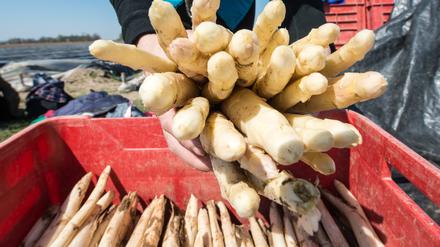 Es könnte zum Osterfest Spargel aus Brandenburg geben.